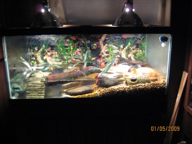 IMG_2134.JPG
