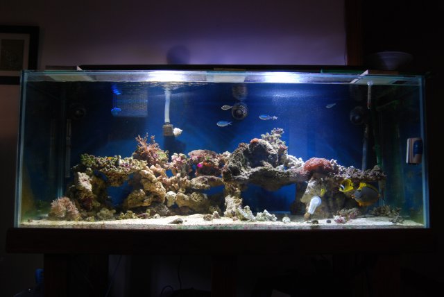 fts.jpg