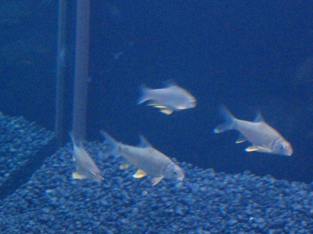 IMG_0393.JPG