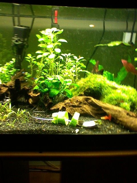 feeding time.jpg