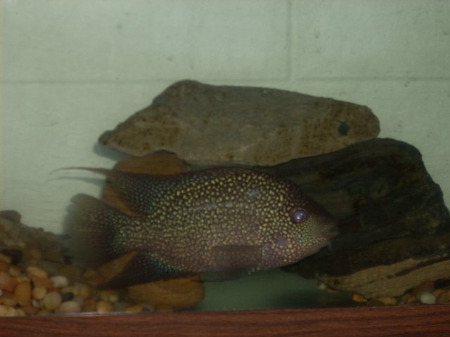 DSCN0666.JPG