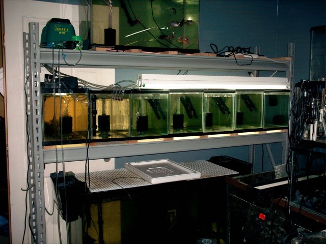 010.JPG