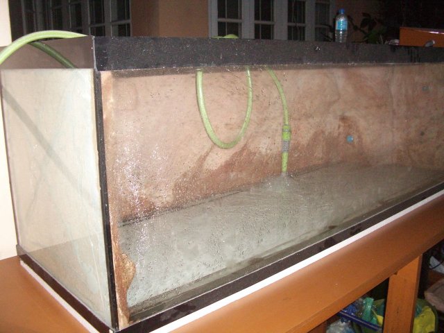 IMGP6142.jpg