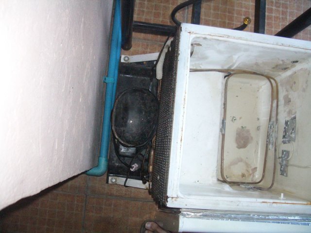 IMGP6161.jpg
