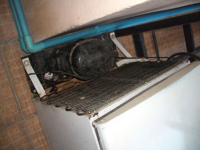 IMGP6162.jpg