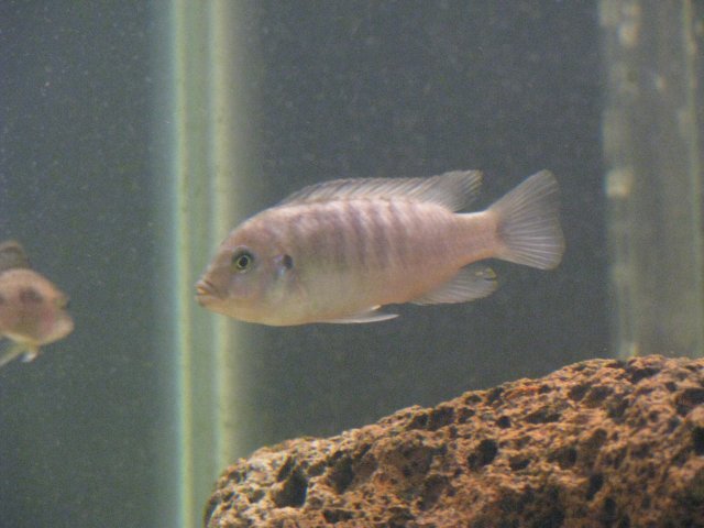 June08 074.jpg