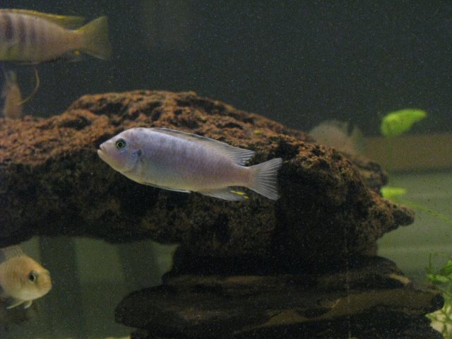 June08 071.jpg