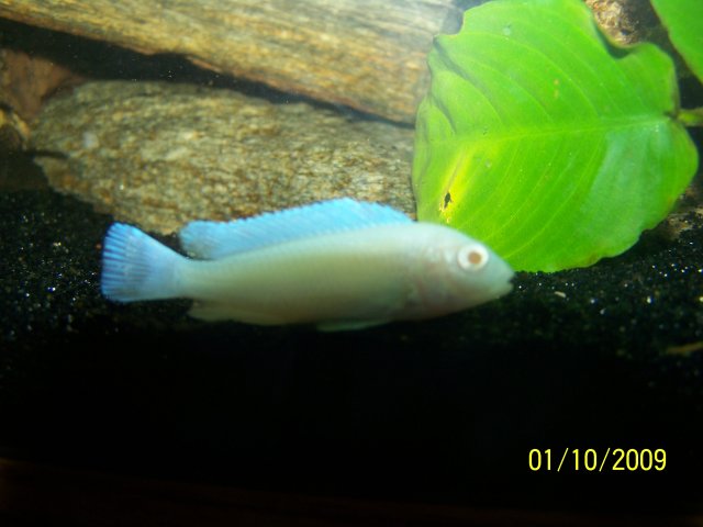 100_1382.JPG 100_1382.JPG