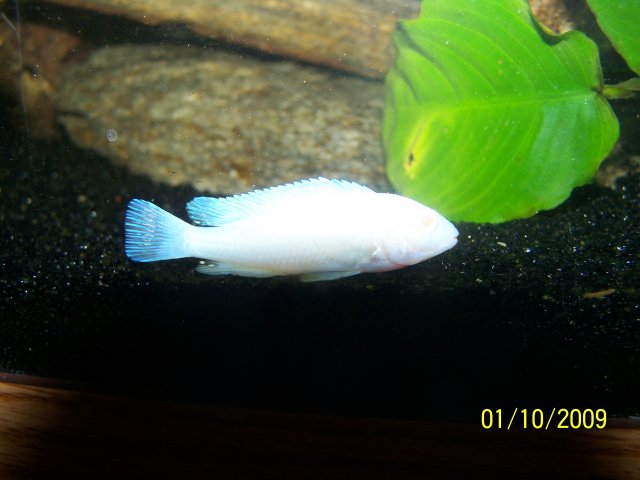 100_1383.JPG 100_1383.JPG