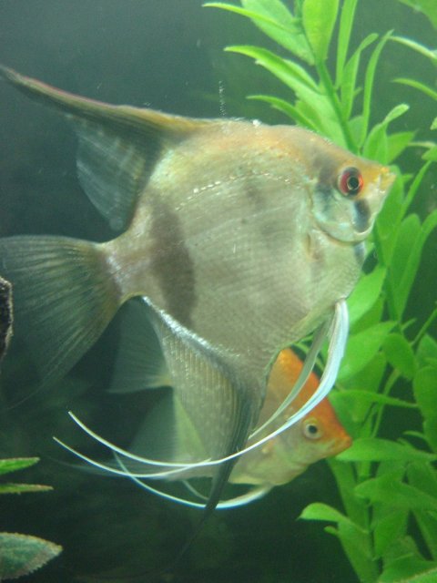 0803 007.jpg 0803 007.jpg