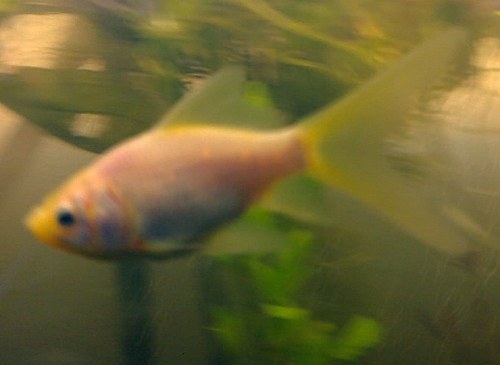 06-01-09_2257.jpg 06-01-09_2257.jpg