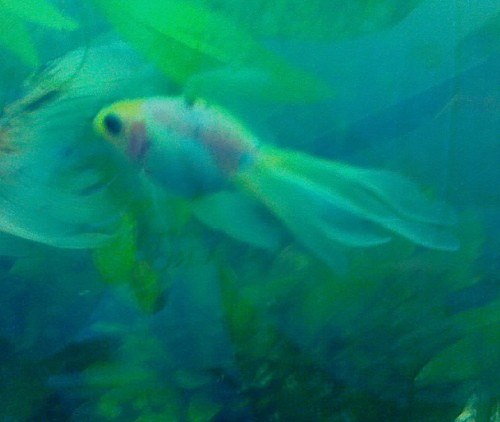 06-01-09_2306.jpg