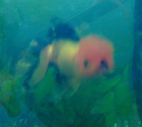 06-01-09_2302.jpg