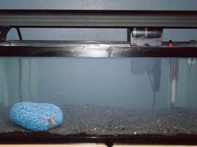 100_0066.jpg