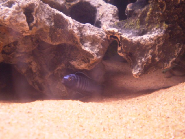 P1100037.JPG