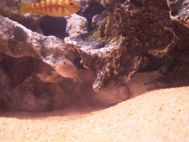 P1100040.JPG