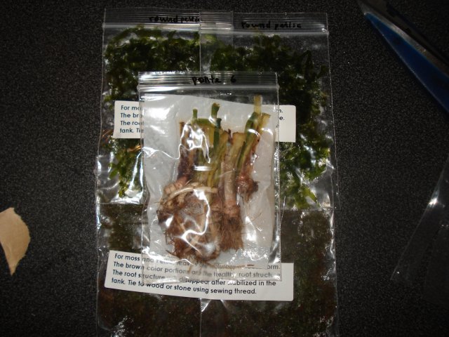 DSC02763.JPG