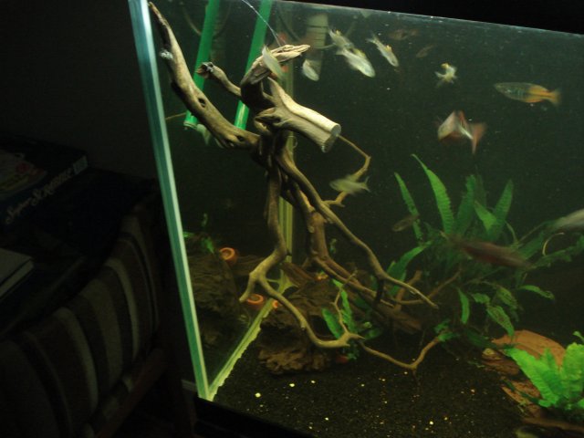 DSC02756.JPG