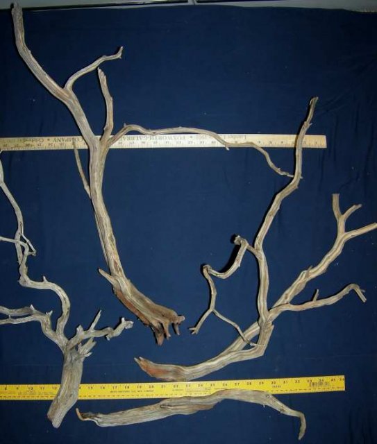 LRG STUMP PKG 4 RHT0001.JPG