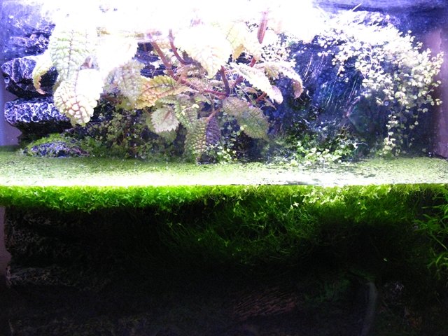 m_IMG_0464.jpg