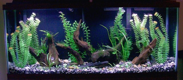 100_4579.jpg