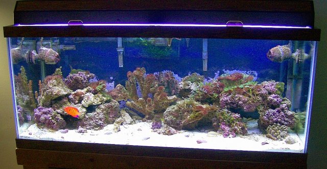 100_4580.jpg