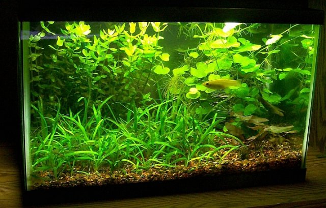 100_4581.jpg