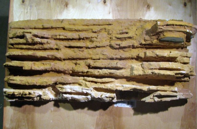 Wall.jpg