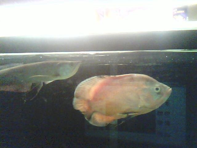 IMG000030.jpg
