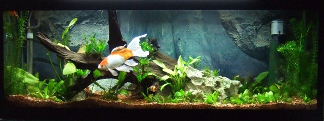 DSCF1340.jpg