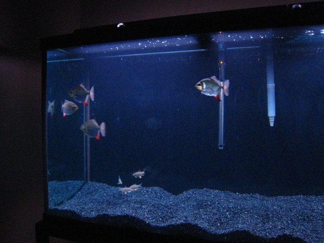 IMG_0564.JPG