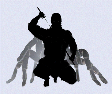 taraninja.gif