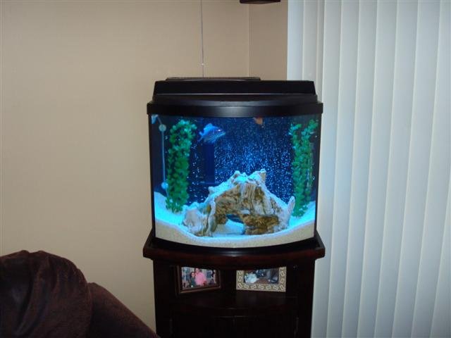 DSC00398 (Small).JPG