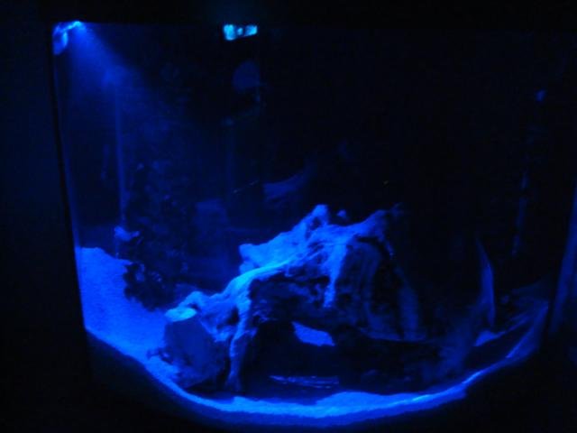 DSC00414 (Small).JPG