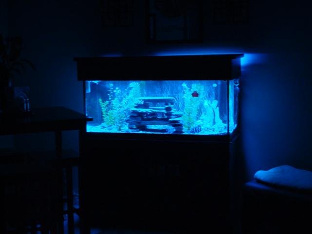 DSC00419 (Small).JPG