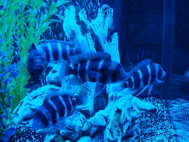 DSC00430 (Small).JPG
