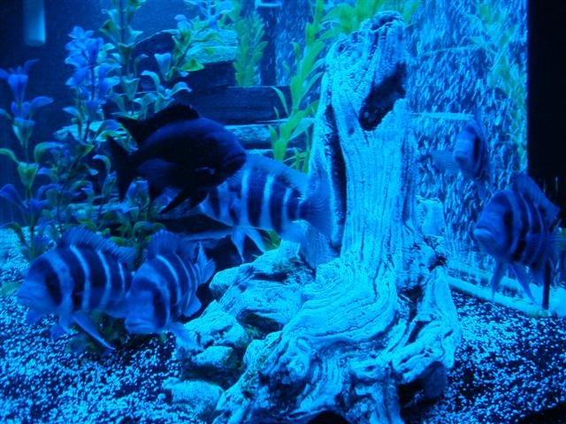 DSC00426 (Small).JPG