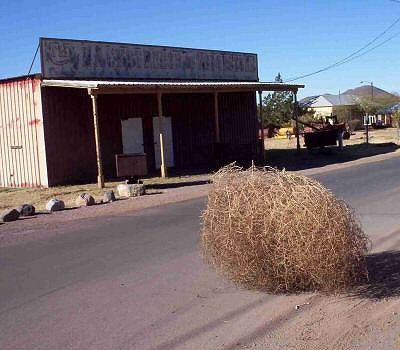 tumbleweed.jpg