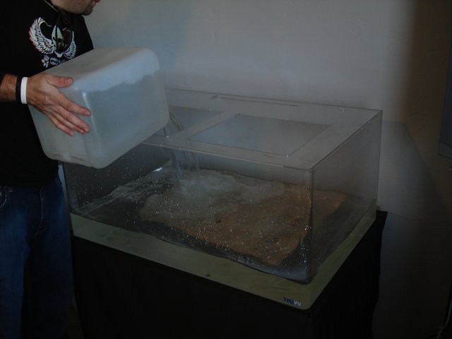 DSC08408.JPG