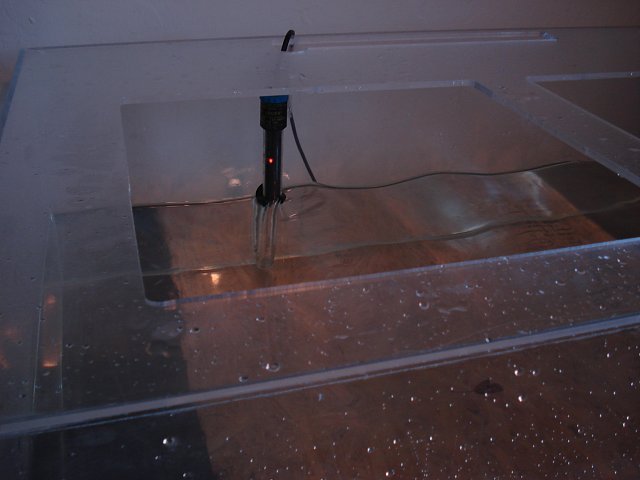 DSC08410.JPG