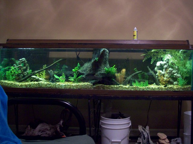 100_2576.JPG