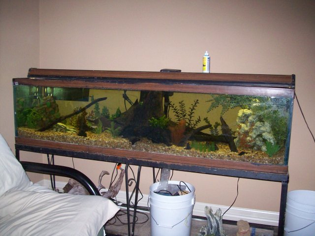 100_2572.JPG