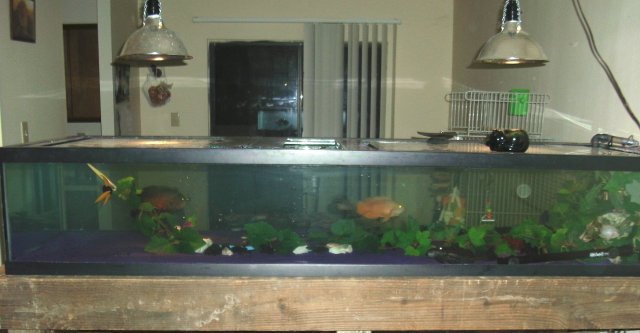 Picture 125.jpg