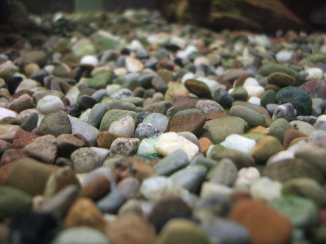 DSCF0464.JPG