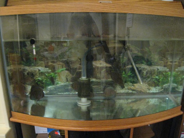 IMG_0145.JPG