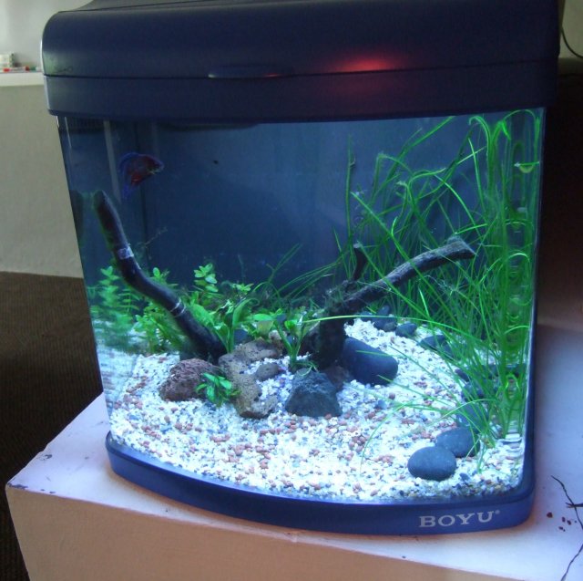 DSCF1751.jpg