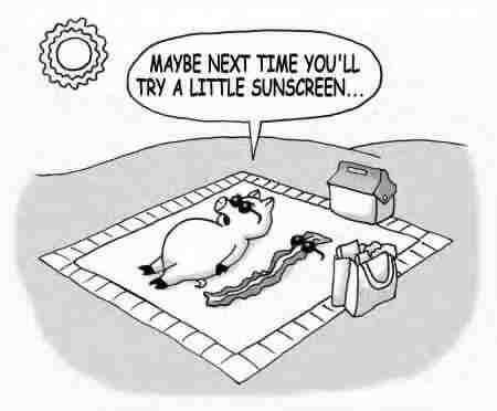 sunbathing_pigs.jpg sunbathing_pigs.jpg