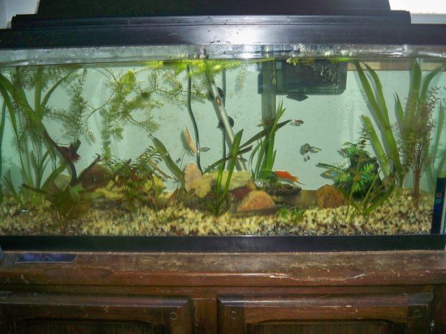 100_0676.jpg