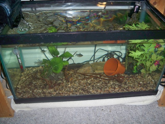 100_0673.jpg