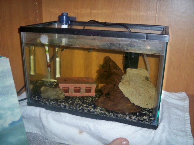 100_0674.jpg